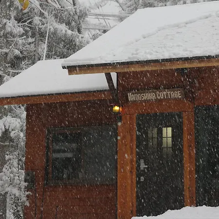 Kamoshika Cottage 白馬村 エクステリア 写真